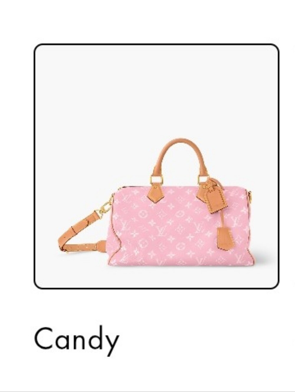 🌸Super Charmed Monter Charm Canvas Candy Paint Pink Mono Barrel Speed 30in Tote